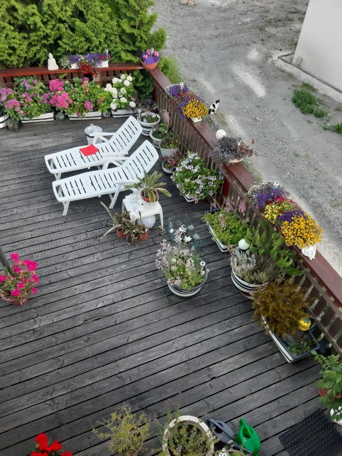 Ferienwohnung Angelo Longkamp Zewnętrze zdjęcie
